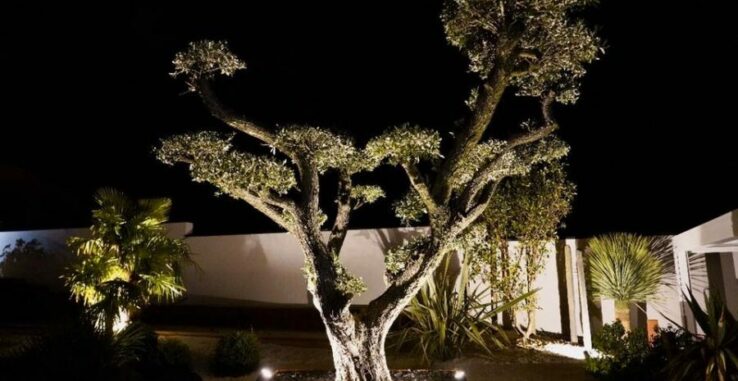 Création paysagère